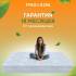 Матрас Lux Duo M/F ProSon Матрас Lux Duo M/F ProSon
